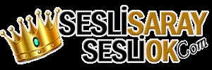  SesliBerlin.com